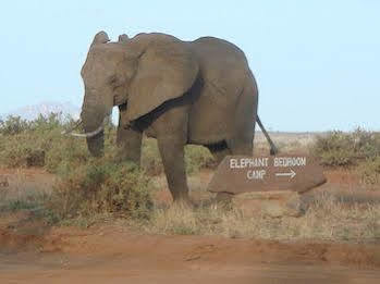 Elephant Bedroom Camp Archers Post Esterno foto